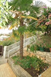 Apartments with parking space Rabac, Labin - 7474 - 4