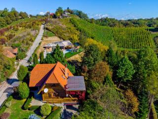 Family friendly house with a swimming pool Gornja Voca, Zagorje - 11873 - 8