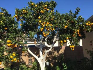 Apartments with parking space Vodice - 12721 - 5