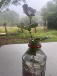 Centro Holistico Casa Orion - 5