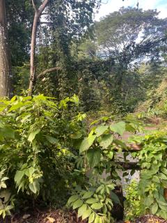 Centro Holistico Casa Orion - 4