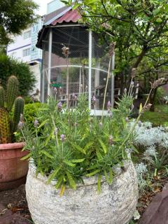 Mansão Casa Blanca em São Roque c/ 5 vagas garagem - São Roque - 6