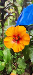 Recanto Ana Valentin - 3