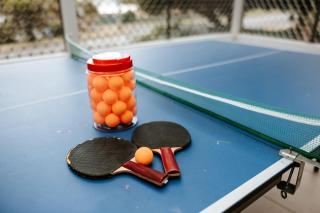 The Waratah Escape Nowra - 9