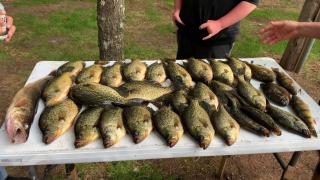 Rustic Willow Retreat - Outdoor Adventures cabin - 3