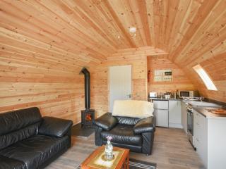 Barcud Coch - Uk44539 - 7