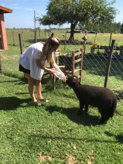 Casa de campo La Liebre - 2