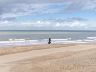 Apartment with 1 bedroom and direct sea view - 2