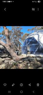 Escape to The Dome Studio a Blue Mountains Hidden Gem - - 8
