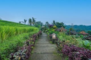 Jatiluwih Guava Eco Living managed by Manara - 6