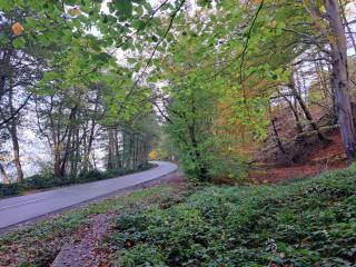 Casa Mundo Bed & Breakfast - 2