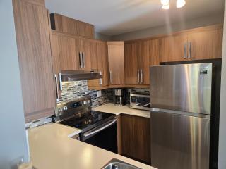 Cozy Digital Nomad Apartment in Montreal Riv-Sud - 5