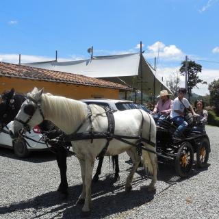 Hotel Campestre Ronda Ecuestre Rionegro - 8