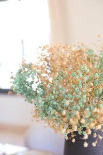 Face à la plage - Calme et confort haut de gamme - 7