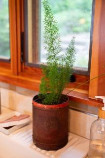 Island Waterview Retreat - 1