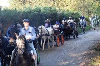 Hotel Campestre Ronda Ecuestre Rionegro - 1