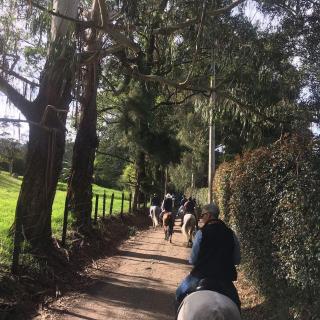 Hotel Campestre Ronda Ecuestre Rionegro - 7