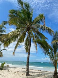 Diani Sea Side Studios - 2