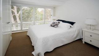 Scribbly Gums Callala Beach - 1