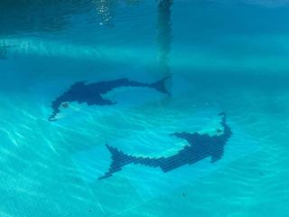 Villa lujosa en Sierra Blanca, Marbella, 5 dormitorios - ES-175-40 - 6