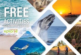 Kaleialoha 211 · KA 211 OceanFront 1BD Whale Watch Relax Getaway - 6