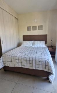 Casa Alta California Pet Friendly - 3