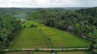 Coconut Shady Villa - 9