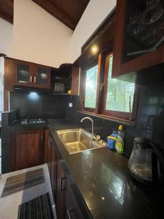 Coconut Shady Villa - 4