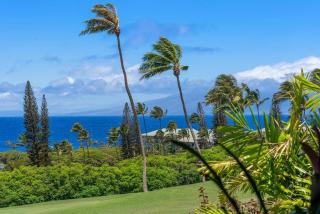 Kaanapali Plantation 9 · KPL 9 Panoramic Ocean Views Kaanapali N - 1