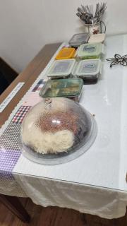 Korean traditional homestay experience with breakfast and dinner provided - 9