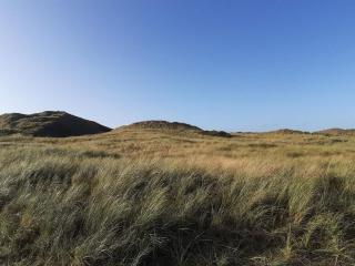 8 person holiday home in Ulfborg - 2