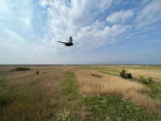 8 person holiday home in Ulfborg - 6