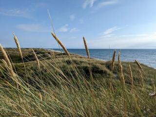 8 person holiday home in Ulfborg - 1