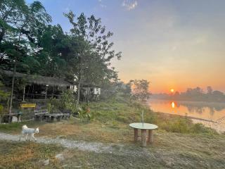 Bamby Chilling House - Feel The Nature - Sauraha , Chitwan - 7