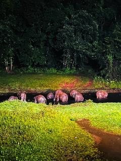 Casa Nube Resort Munnar - 6