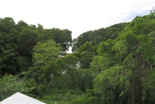 BattsRock Beach Condos 205 - 4