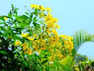 Rommai Rimnaam Resort - 9