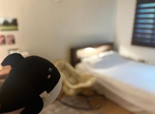 LIINCO STAY, Rakki - 5