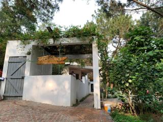 Luma of Serenity - 2