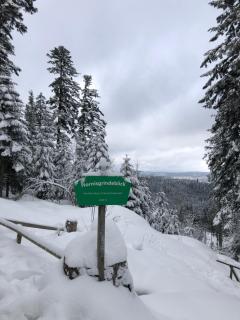 Ferienwohnung Kniebisliebe - 9