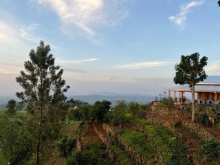 Blackwoods Farmhouse - 4