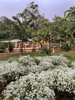 Blackwoods Farmhouse - 3