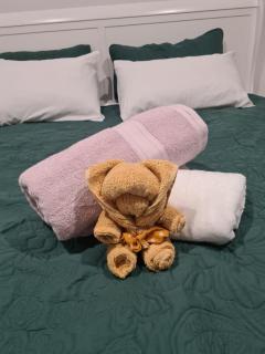 Mount Pleasant Wellness Retreat Infrared Sauna Massage RiverWalk - 1