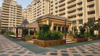 Private Room in Luxury Urban Oasis - 5