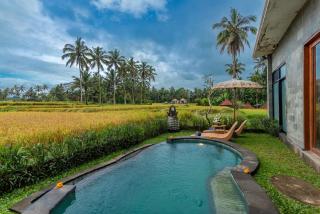 The Alus Private Villas - 4