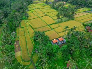 The Alus Private Villas - 6