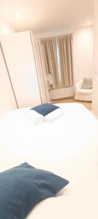 Deluxe Apartment Near Euston Station - 4