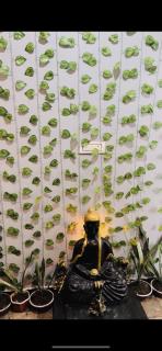 Ujjain home stay - 4