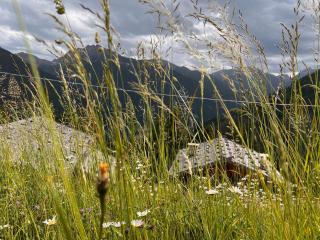 Chalet Larchrast new opening - 6