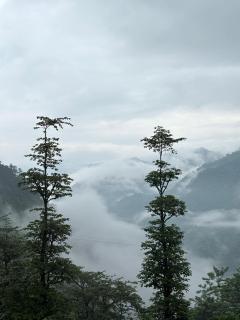 Kyarki Village Homestay & Cafe - 4